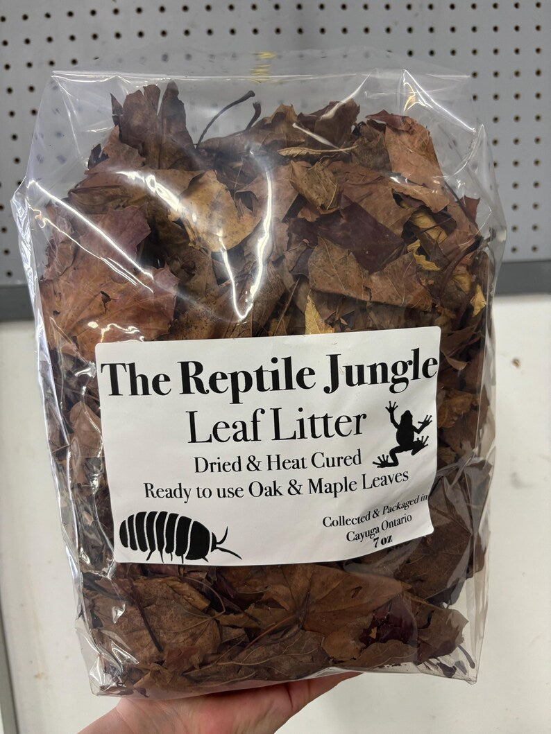 Leaf Litter 7oz, Terrarium Supplies