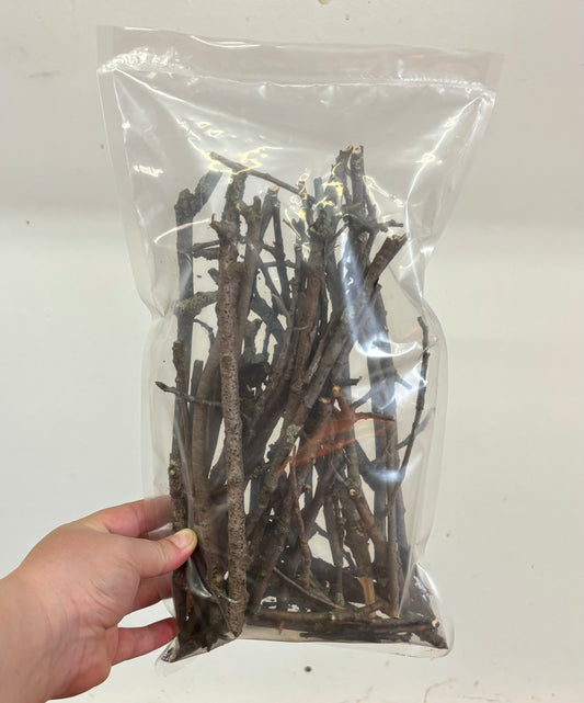 Small Sticks, Twigs,The Reptile Jungle