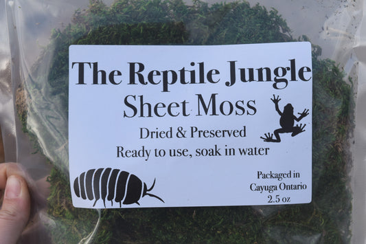 BULK Sheet Moss, 100 bags