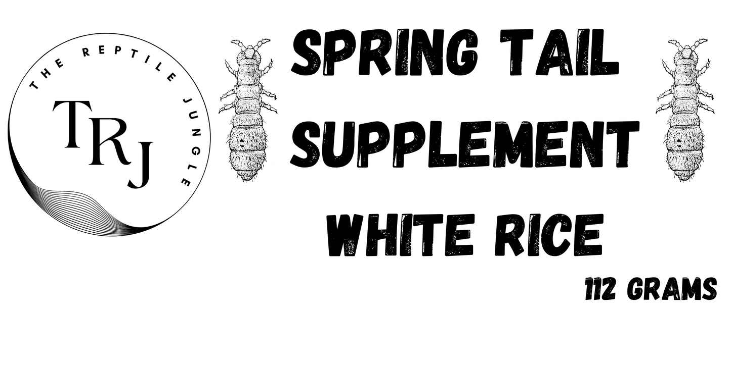 Springtail Supplement: WHITE RICE