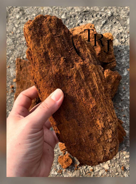 Premium Wood Rot - Large