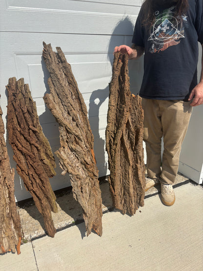 20lbs Background Panel Bundle (rough ends), Hardwood Bark, Reptile Enclosure Bark