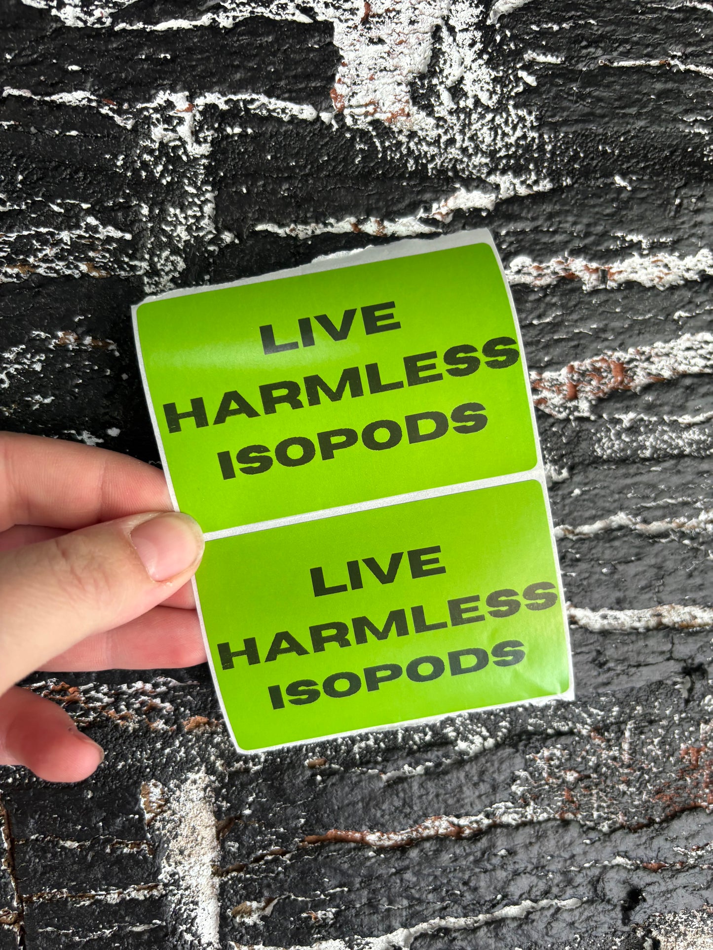 Sticker Label: Live Harmless Isopod x 100