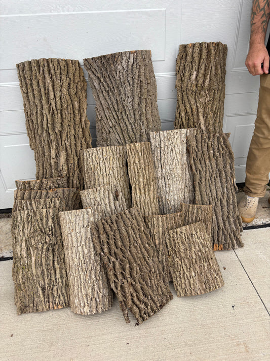40 lb Background Panel Bundle, Hardwood Bark, Reptile Enclosure Bark, Cut Flat Ends