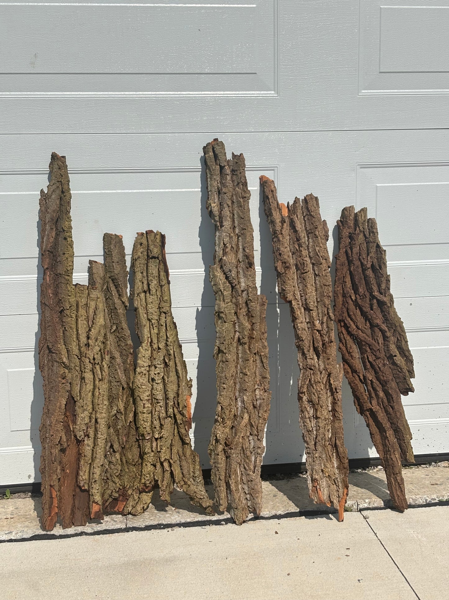 20lbs Background Panel Bundle (rough ends), Hardwood Bark, Reptile Enclosure Bark