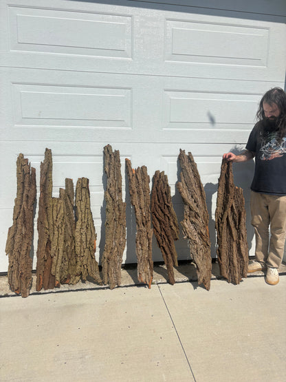 20lbs Background Panel Bundle (rough ends), Hardwood Bark, Reptile Enclosure Bark