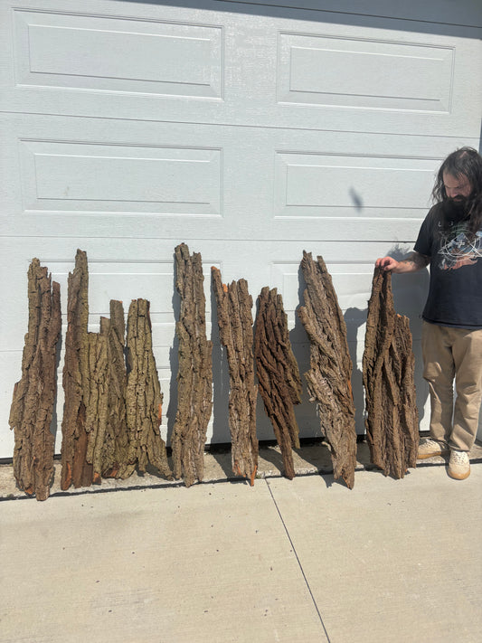40lb Background Panel Bundle (rough ends), Hardwood Bark, Reptile Enclosure Bark