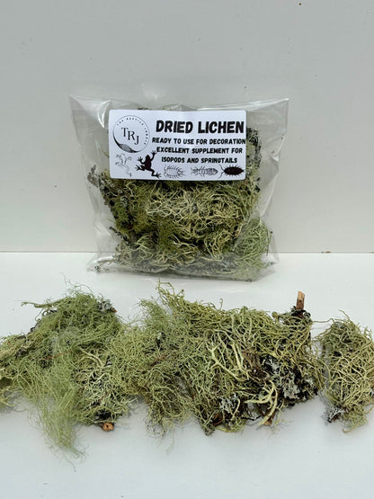 Lichen, dried lichen for reptile enclosures and isopods