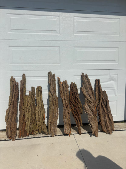 20lbs Background Panel Bundle (rough ends), Hardwood Bark, Reptile Enclosure Bark