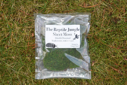 BULK Sheet Moss, 100 bags