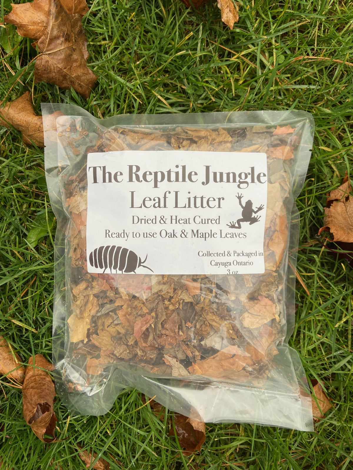 Leaf Litter 1oz, Terrarium Supplies – The Reptile Jungle