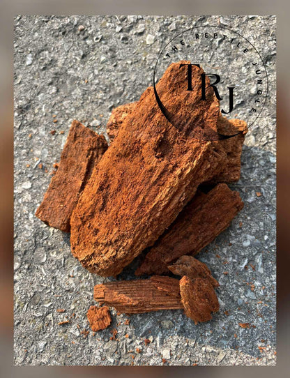 Premium Wood Rot - Large